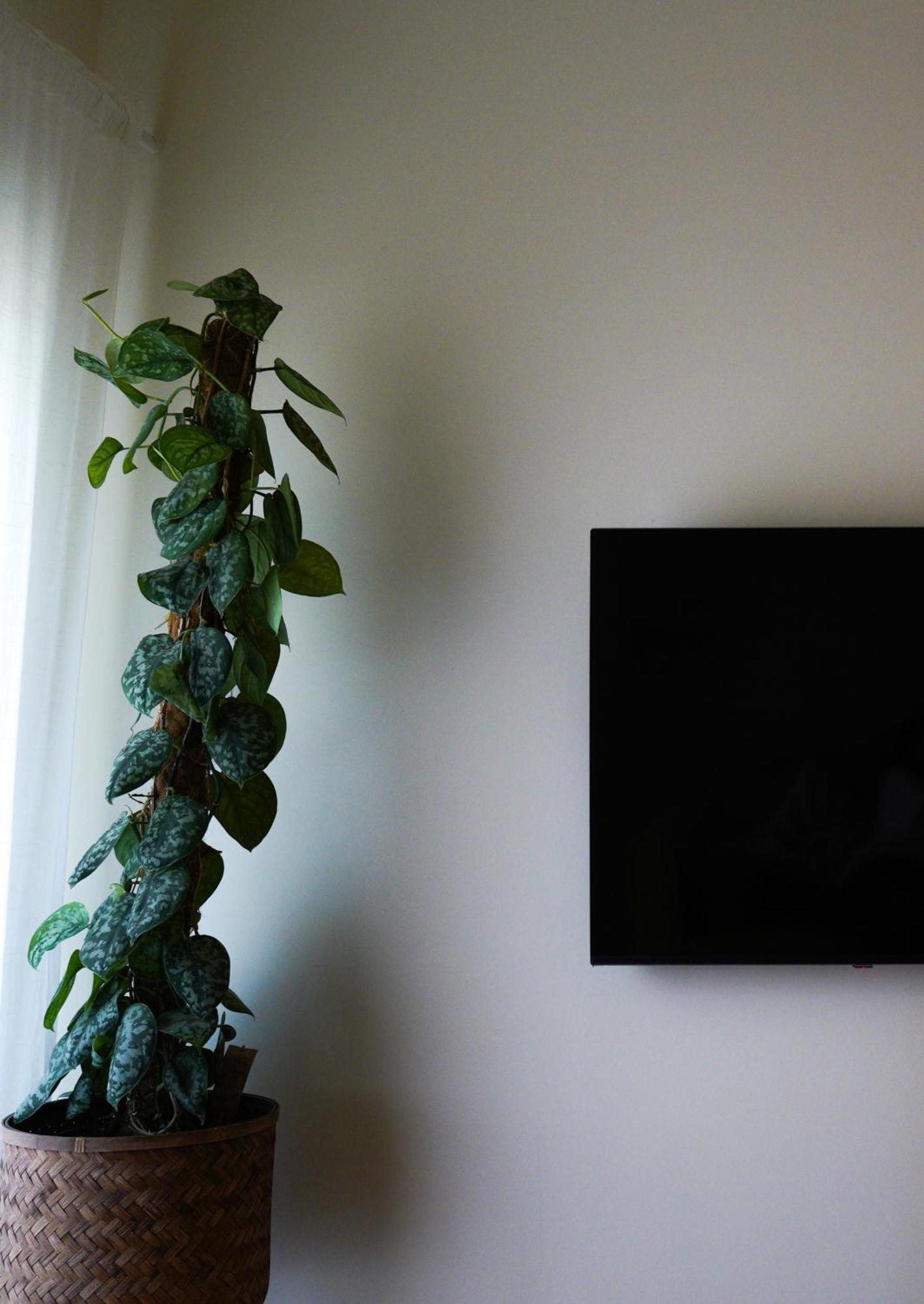 Apartment Bright